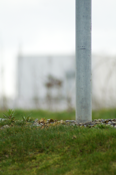 Post, par Xavier E. G. Dierick